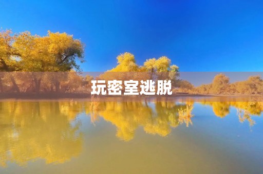 玩密室逃脱 玩密室逃脱