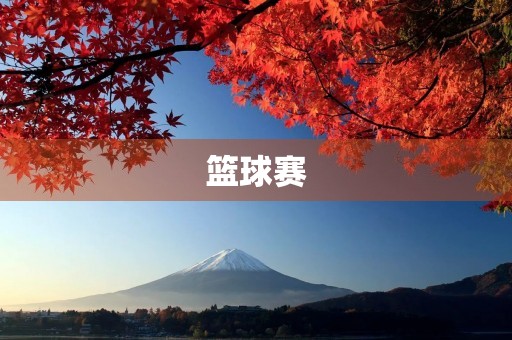 篮球赛 篮球赛