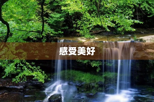 感受美好 感受美好