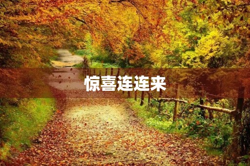 惊喜连连来 惊喜连连来