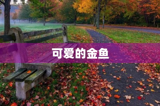 可爱的金鱼