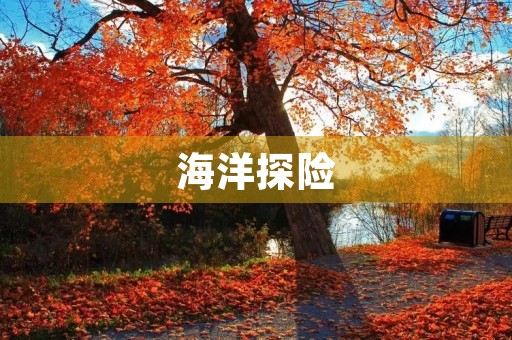 海洋探险 海洋探险
