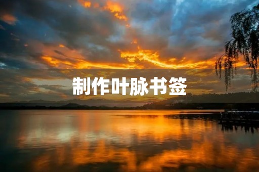 制作叶脉书签