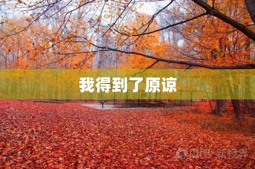 我得到了原谅 我得到了原谅