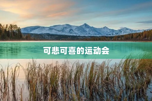可悲可喜的运动会 可悲可喜的运动会