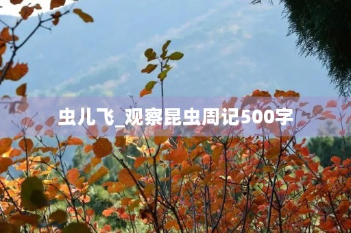 虫儿飞_观察昆虫周记500字