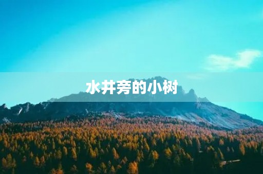 水井旁的小树 水井旁的小树