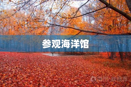 参观海洋馆