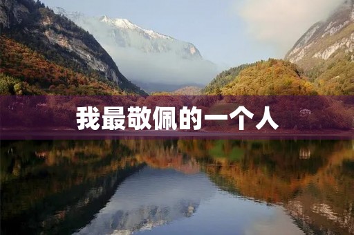 我最敬佩的一个人 我最敬佩的一个人