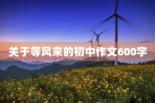 关于等风来的初中作文600字
关于等风来的初中作文600字