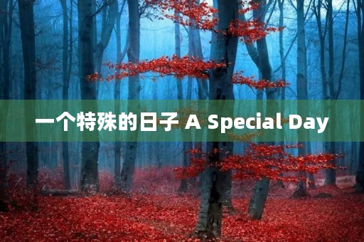 一个特殊的日子 A Special Day 一个特殊的日子 A Special Day