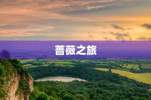 蔷薇之旅 蔷薇之旅