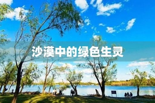 沙漠中的绿色生灵