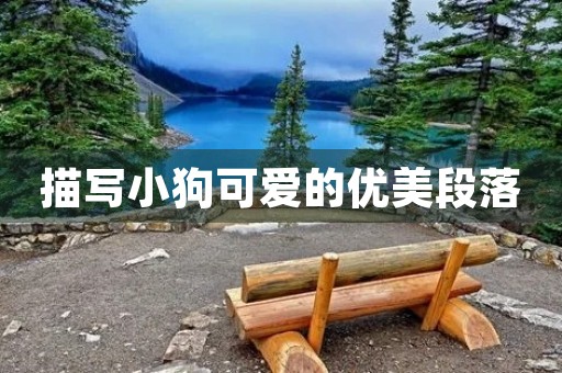 描写小狗可爱的优美段落 描写小狗可爱的优美段落