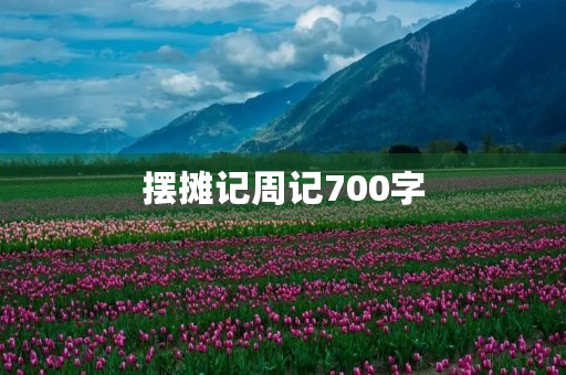 摆摊记周记700字 摆摊记周记700字