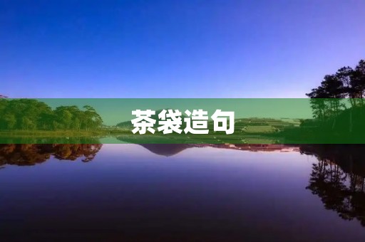 茶袋造句