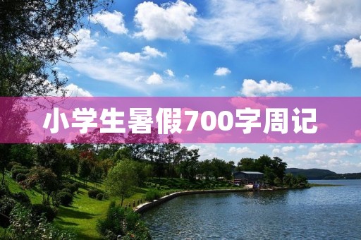 小学生暑假700字周记 小学生暑假700字周记