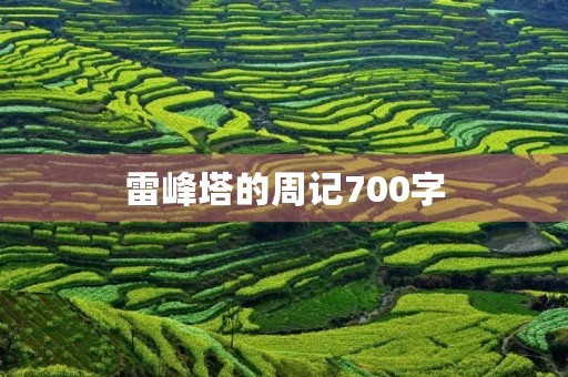 雷峰塔的周记700字 雷峰塔的周记700字