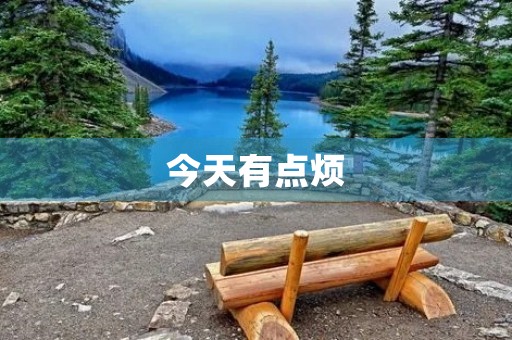 今天有点烦 今天有点烦