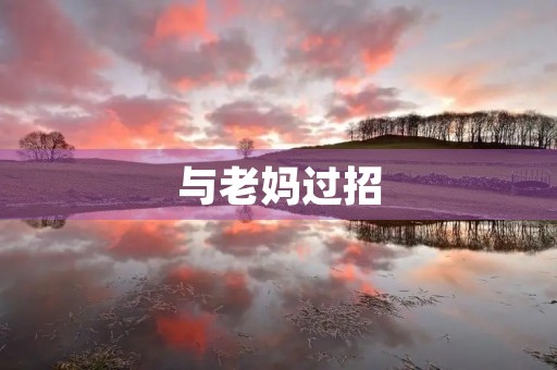 与老妈过招