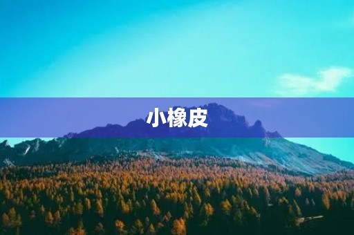 小橡皮