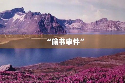 “偷书事件” “偷书事件”