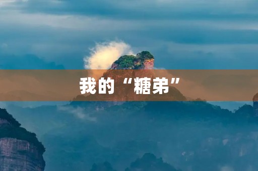我的“糖弟”