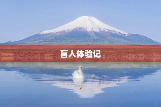 盲人体验记 盲人体验记