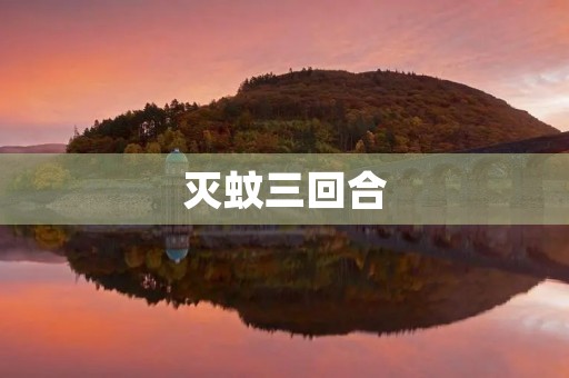 灭蚊三回合 灭蚊三回合