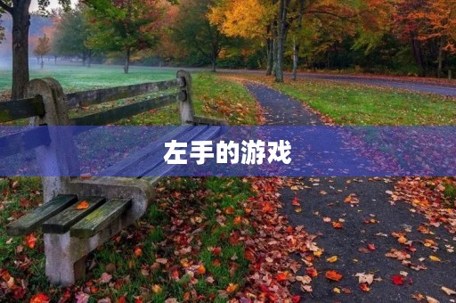左手的游戏 左手的游戏