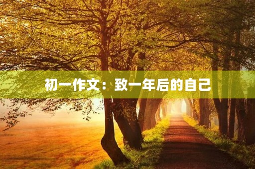 初一作文:致一年后的自己 初一作文:致一年后的自己