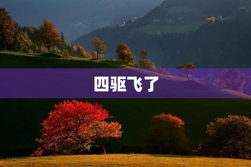 四驱飞了