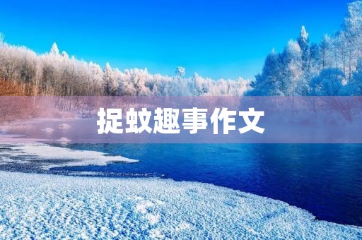 捉蚊趣事作文 捉蚊趣事作文