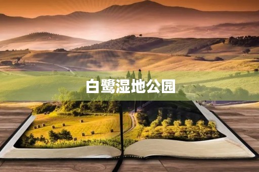 白鹭湿地公园 白鹭湿地公园