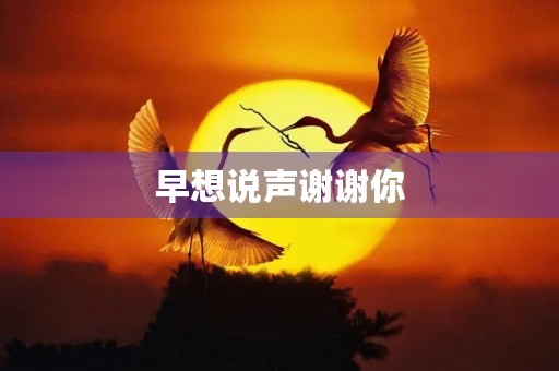 早想说声谢谢你 早想说声谢谢你