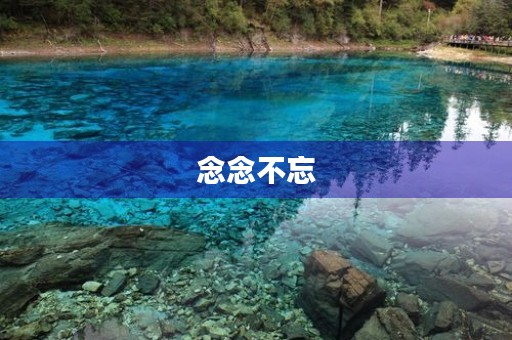 念念不忘 念念不忘