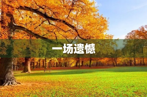 一场遗憾 一场遗憾