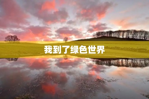 我到了绿色世界 我到了绿色世界