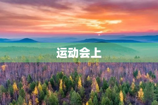 运动会上 运动会上