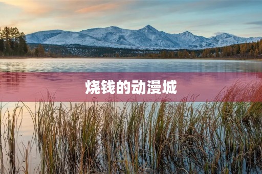 烧钱的动漫城 烧钱的动漫城