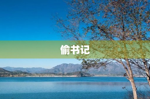 偷书记 偷书记