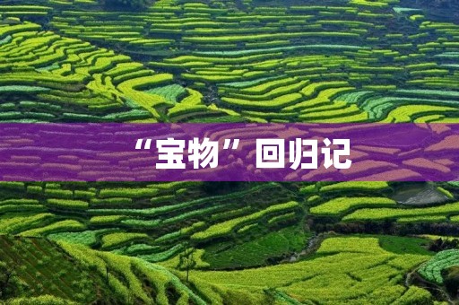 “宝物”回归记 “宝物”回归记