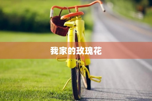 我家的玫瑰花 我家的玫瑰花