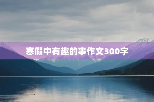 寒假中有趣的事作文300字