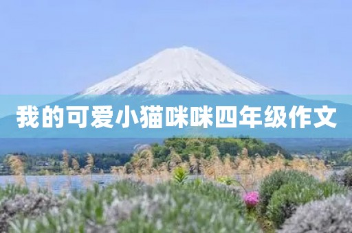 我的可爱小猫**四年级作文