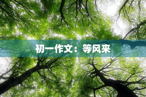 初一作文:等风来 初一作文:等风来