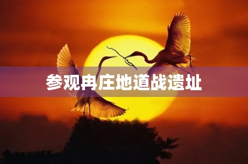 参观冉庄地道战遗址