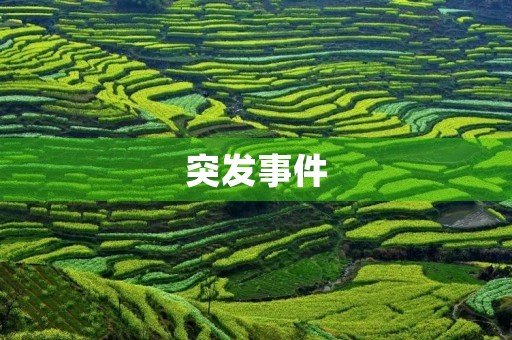 突发事件 突发事件