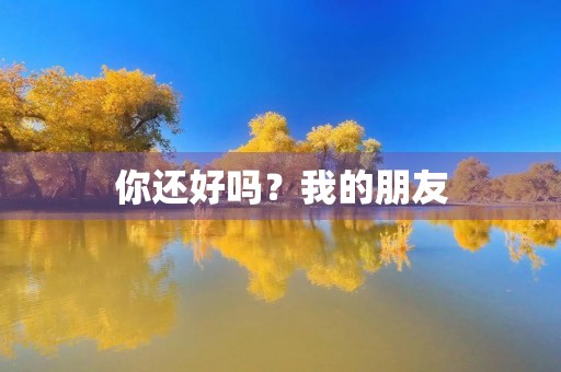 你还好吗?我的朋友 你还好吗?我的朋友