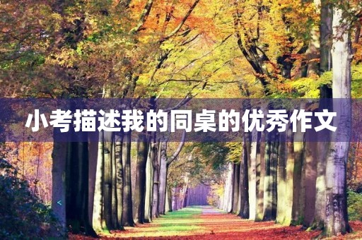 小考描述我的同桌的优秀作文 小考描述我的同桌的优秀作文